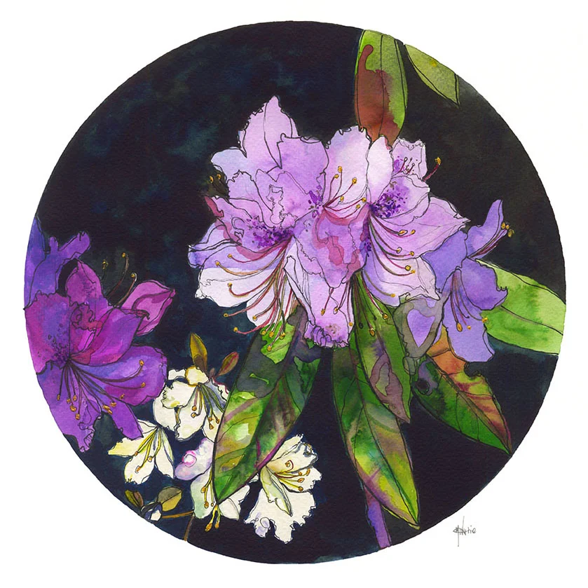 Peony Pattern Giclée Print — Botanical Art